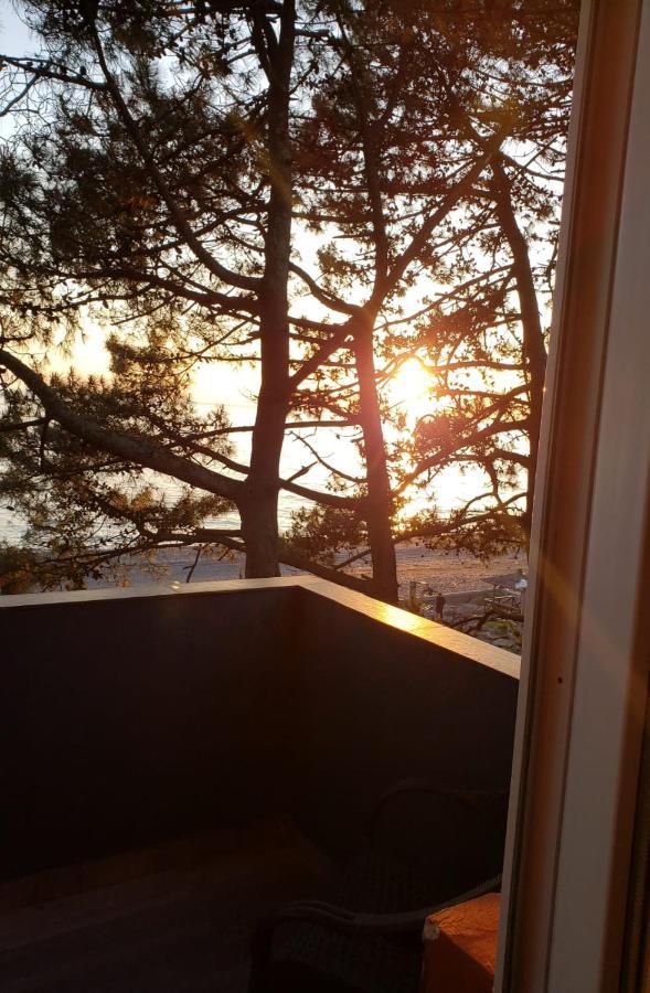 Midia Guest House Kobuleti Eksteriør billede